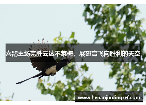 喜鹊主场完胜云达不莱梅，展翅高飞向胜利的天空